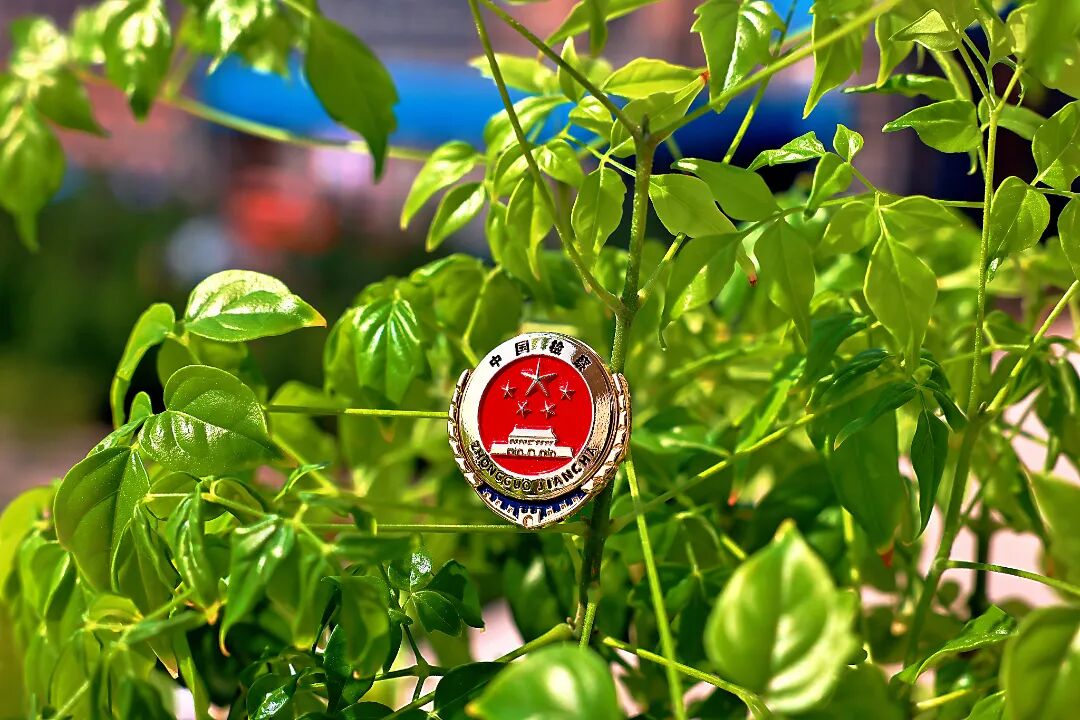 ����������ح���մ�ɫ Ӱ�淼��